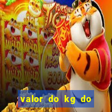 valor do kg do lacre de latinha 2024